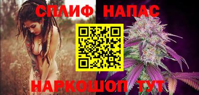 кокс Кингисепп