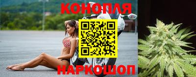 jwh Кинель
