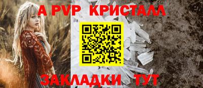 кокс Кингисепп