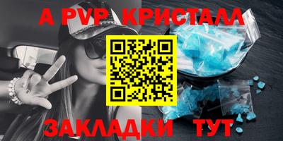 кокс Кингисепп