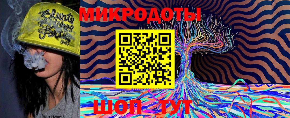 Галлюциногенные грибы Psilocybine cubensis  Вход с VPN  Костомукша 